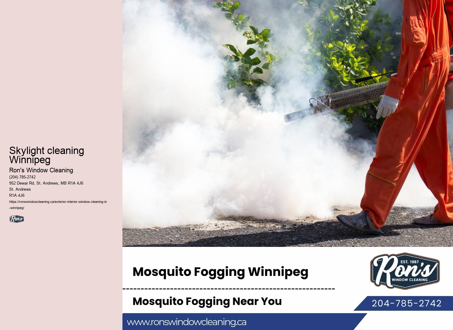 Trusted window cleaning professionals