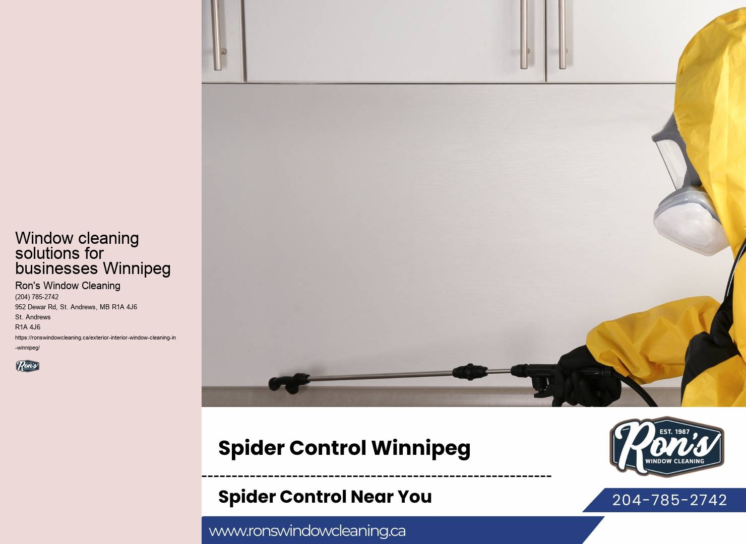 Window cleaning tools and equipment Winnipeg