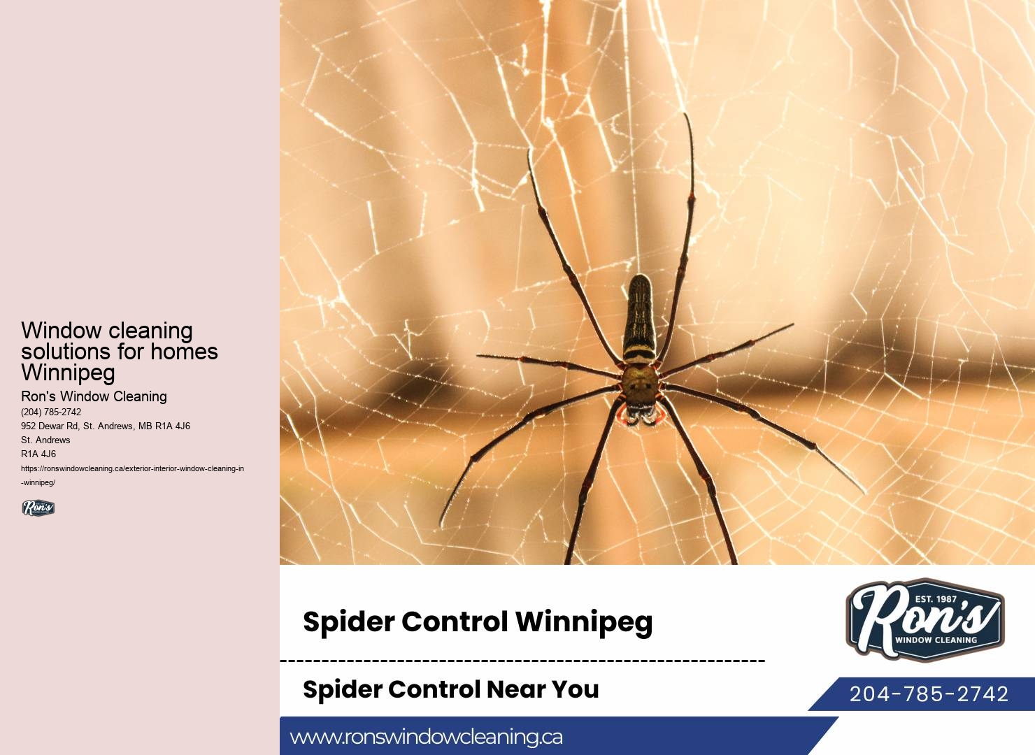 Commercial window washing specialists Winnipeg