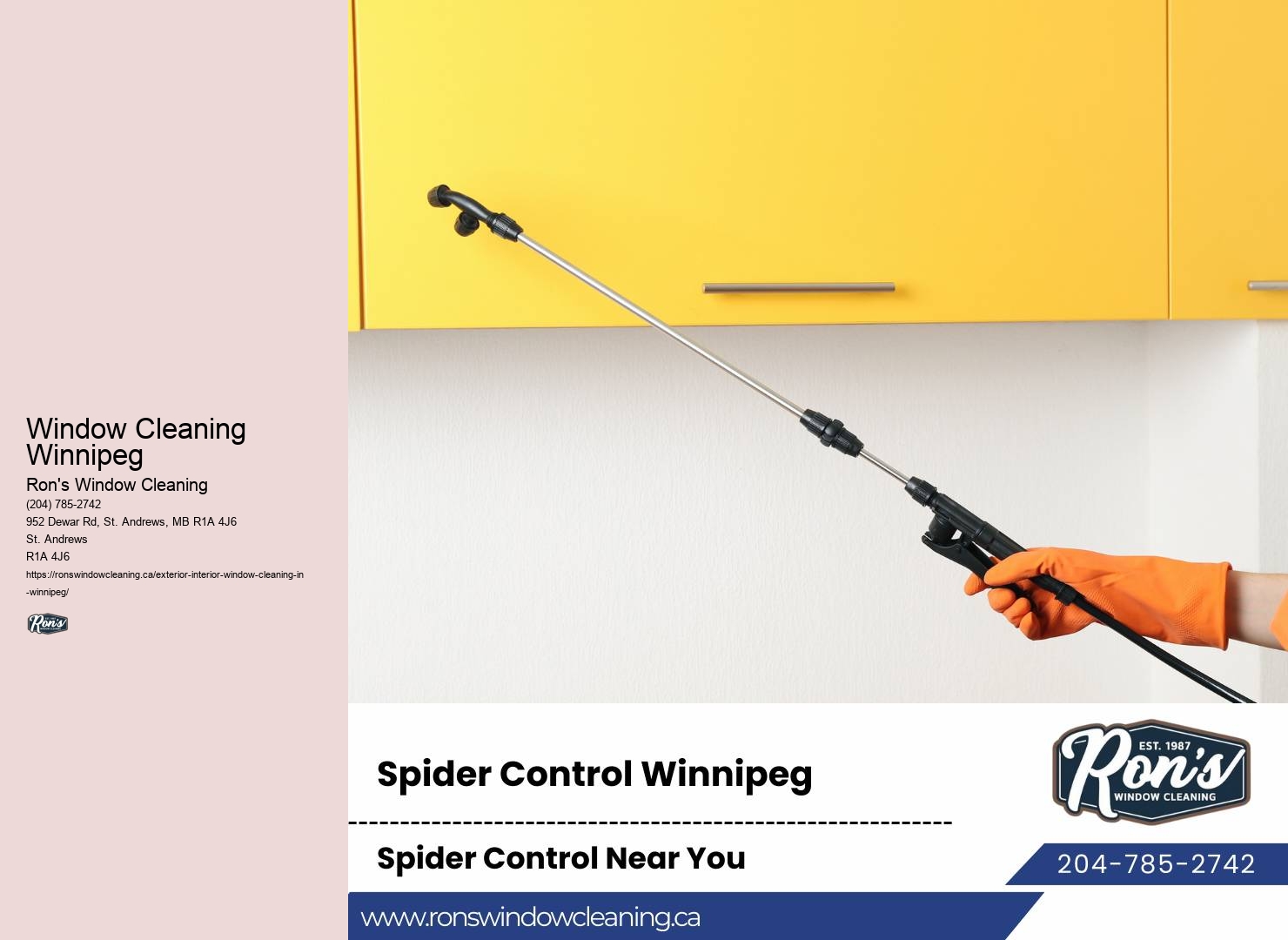 Local Commercial Window Cleaners Window Cleaning Winnipeg