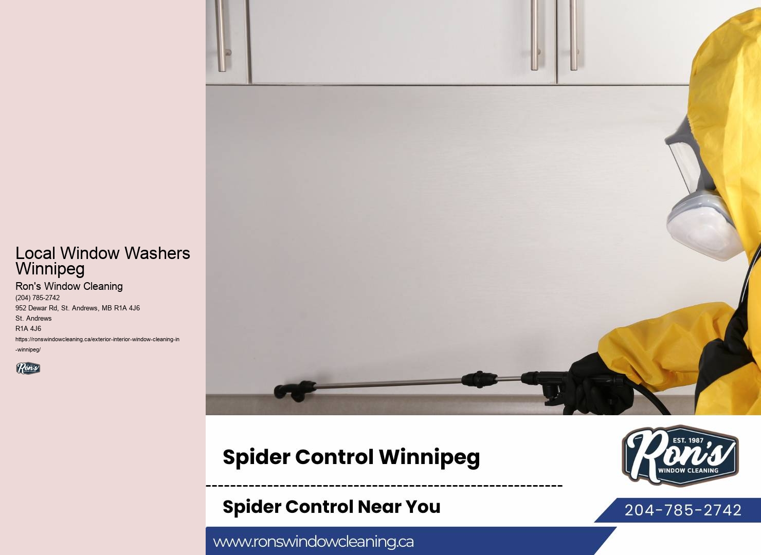 Local Window Washers Winnipeg Window Maintenance Services