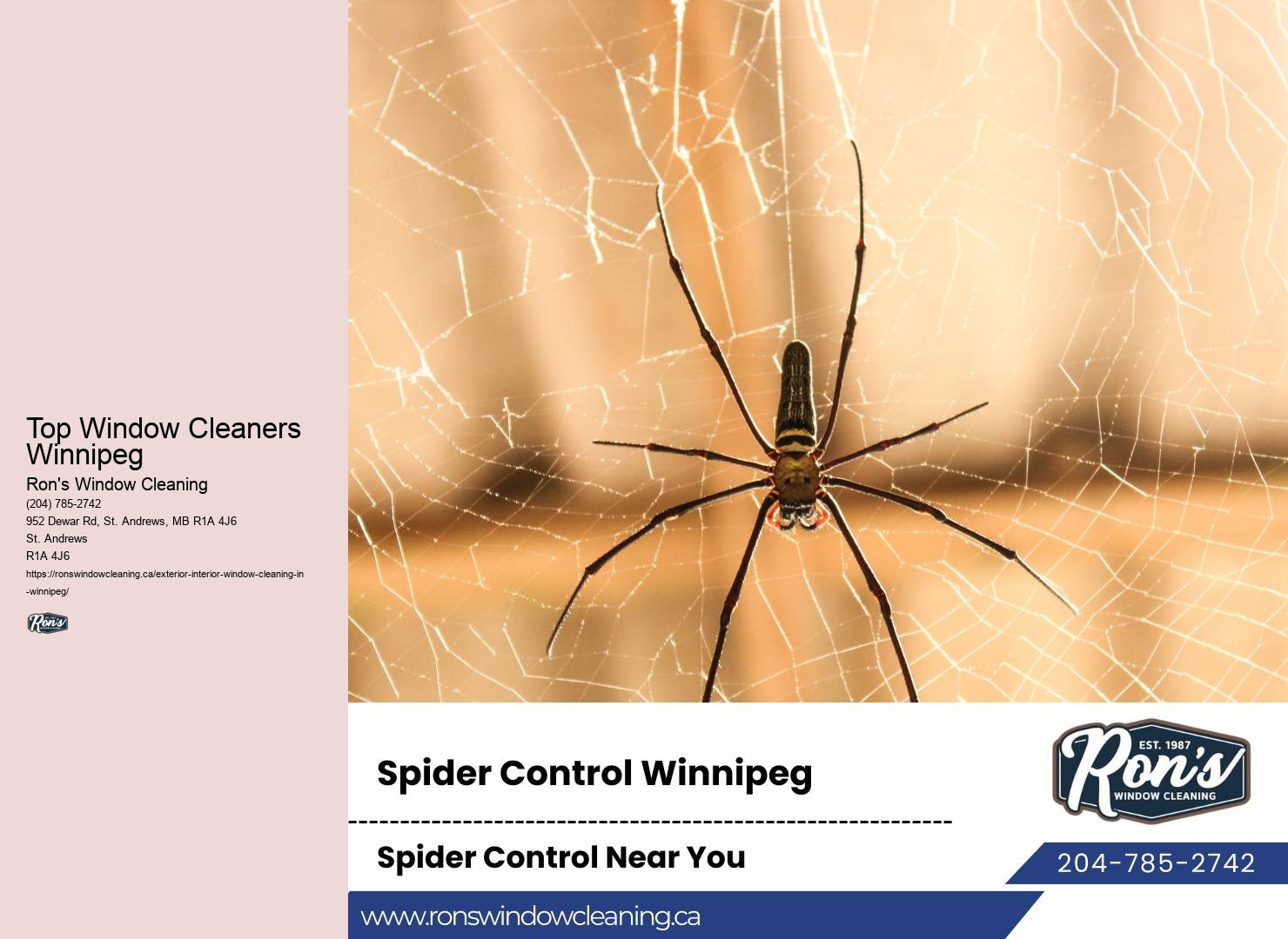 Professional Window Washing Services Top Window Cleaners Winnipeg