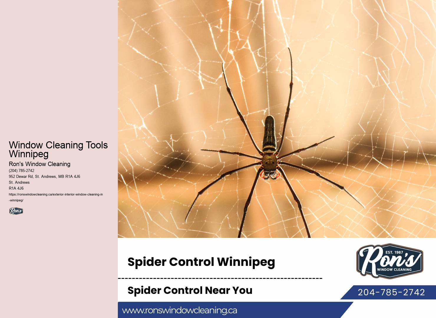 Window Cleaning Innovations Window Cleaning Tools Winnipeg