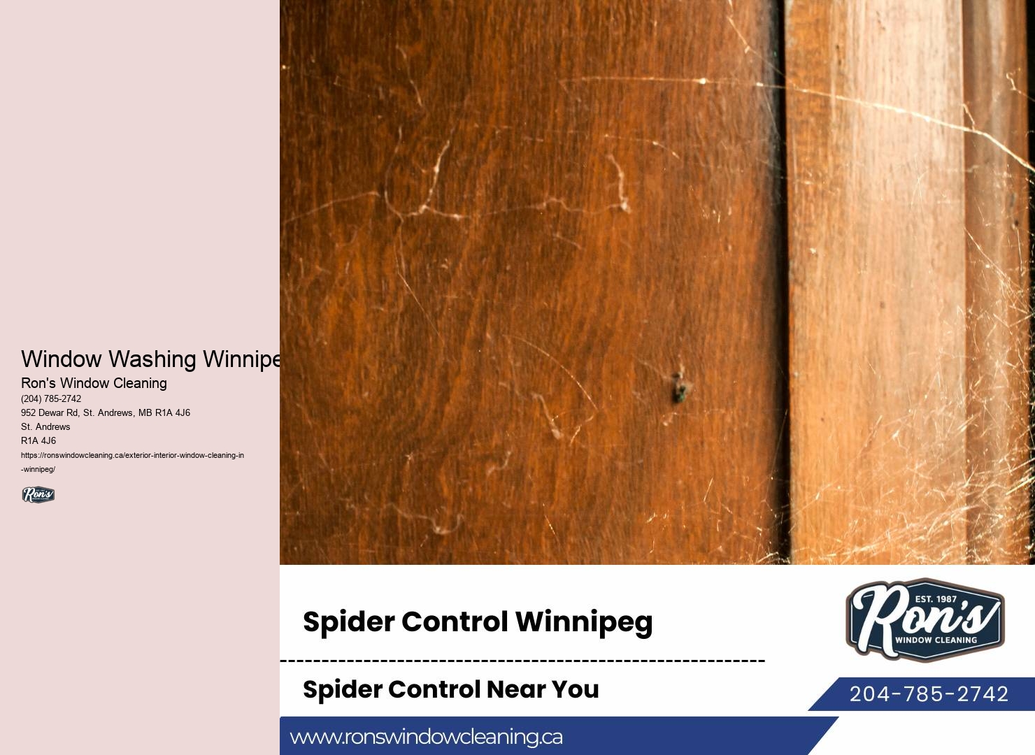 Window Washing Winnipeg Window Washing Reviews