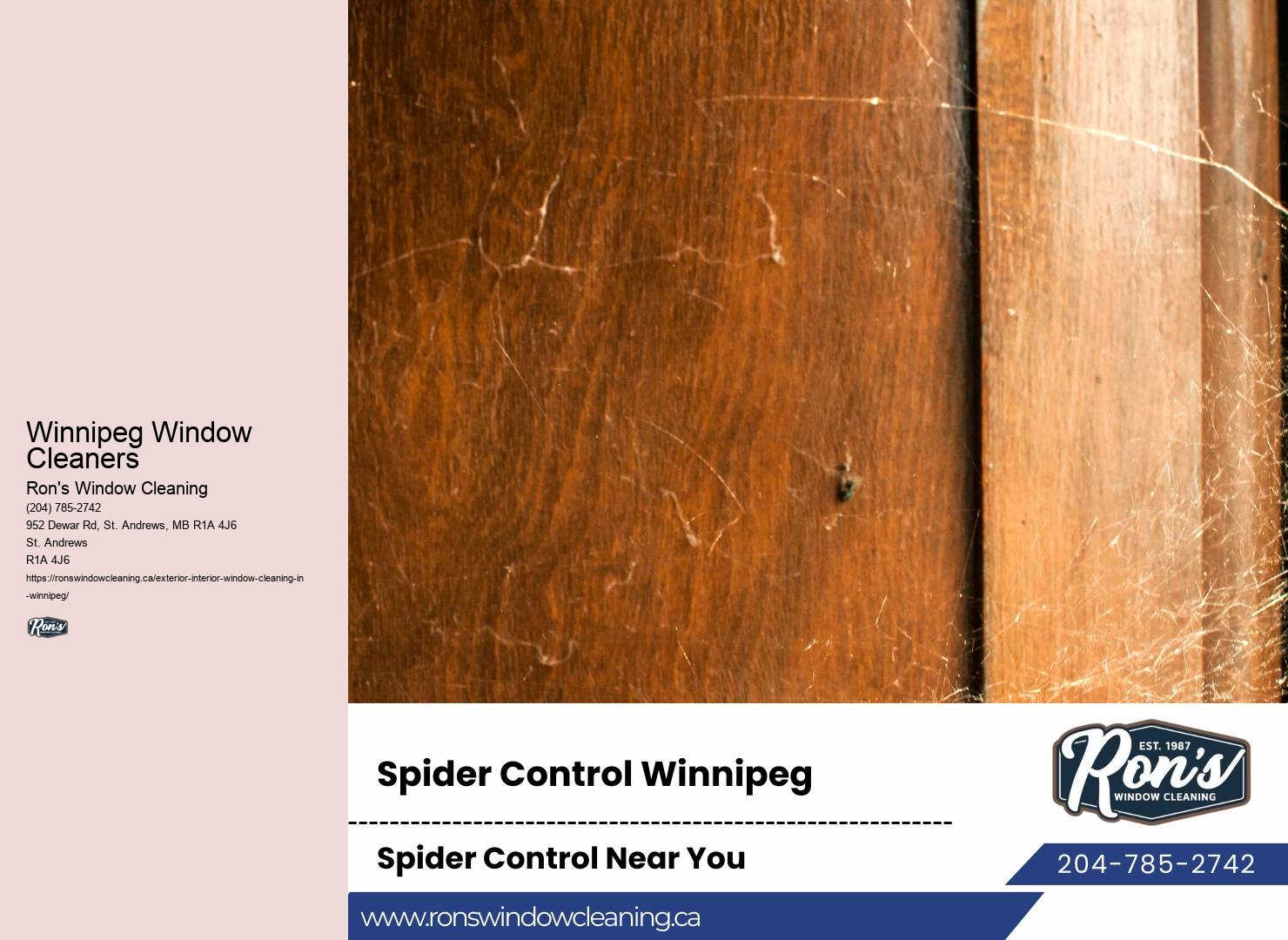Window Cleaning Specials Winnipeg Window Cleaners