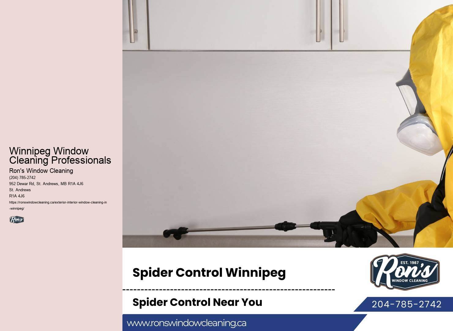 Window Cleaning Expert Assistance Winnipeg Window Cleaning Professionals